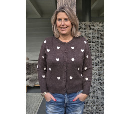 HARTJES VEST bruin/zand